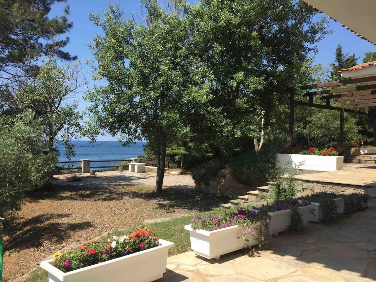 Seaside Vila Platanitis Ngoại thất bức ảnh